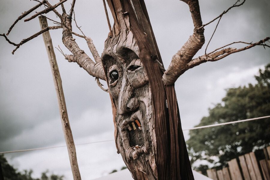 A face carved into a bare tree trunk, seen against an overcast sky.